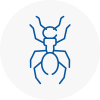 Ant Removals In Honley