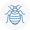 Bed Bug Extermination In Honley