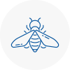 Bee Nest Removal Honley