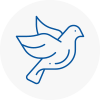 Bird Prevention Honley