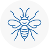 Honley Hornet Nest Removals