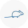 Mice Exterminators In Honley