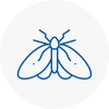 Moth Control Specialists In Honley