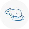 Rat Control Honley