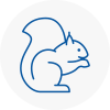 Honley Rodent Removals