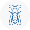 Honley Wasp Nest Removal